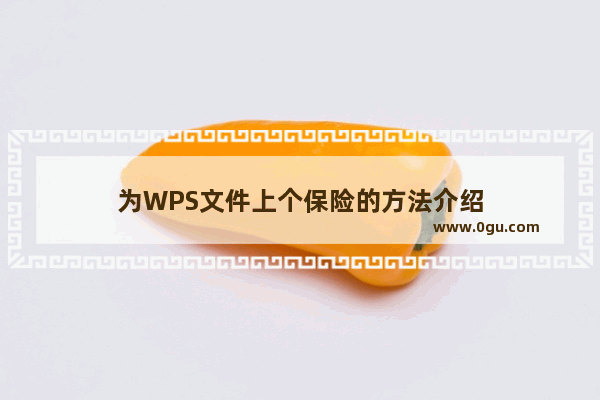 为WPS文件上个保险的方法介绍