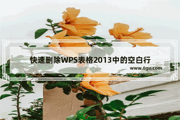 快速删除WPS表格2013中的空白行