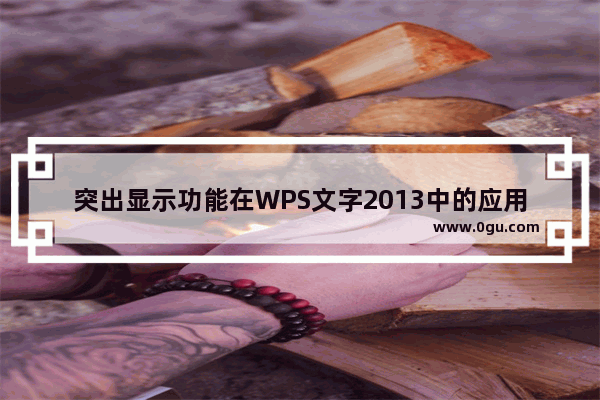 突出显示功能在WPS文字2013中的应用