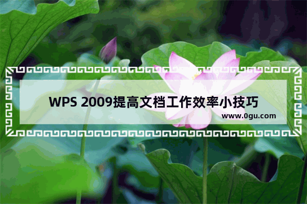 WPS 2009提高文档工作效率小技巧