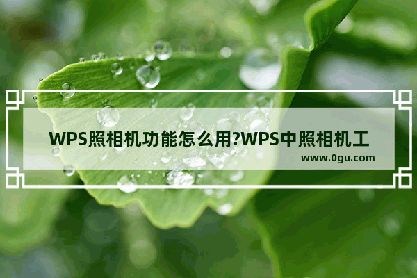 WPS照相机功能怎么用?WPS中照相机工具使用方法教程