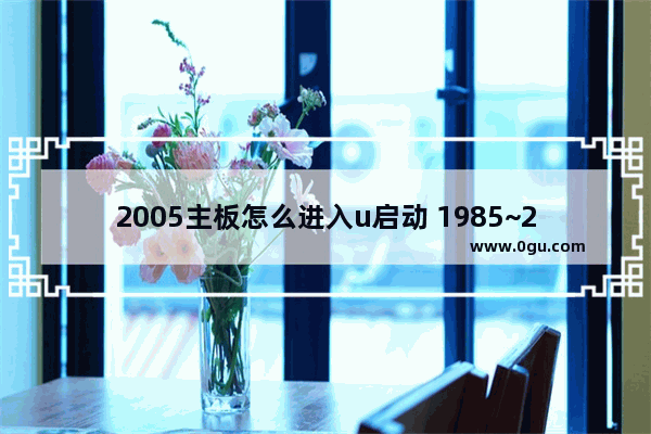 2005主板怎么进入u启动 1985~2005主板bios设置