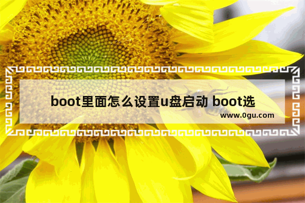 boot里面怎么设置u盘启动 boot选项怎么设置u盘启动