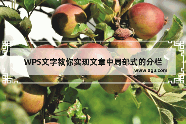 WPS文字教你实现文章中局部式的分栏