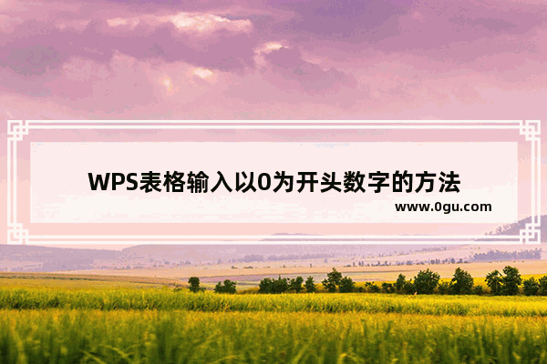 WPS表格输入以0为开头数字的方法