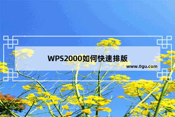 WPS2000如何快速排版