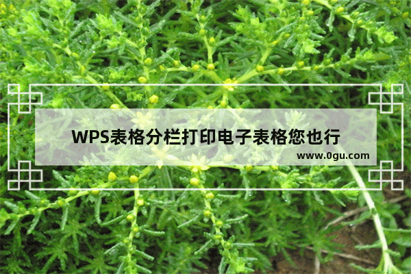 WPS表格分栏打印电子表格您也行