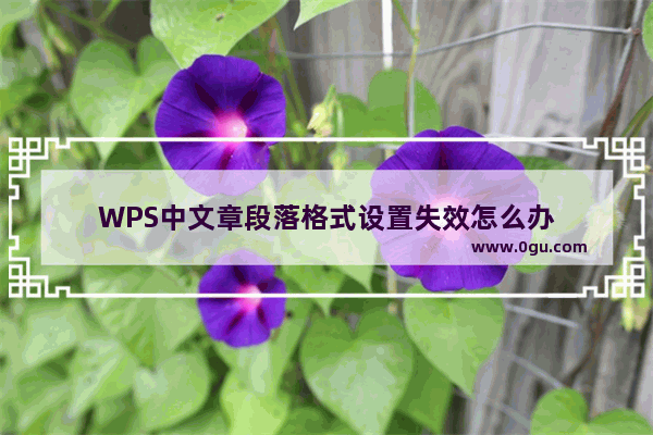 WPS中文章段落格式设置失效怎么办