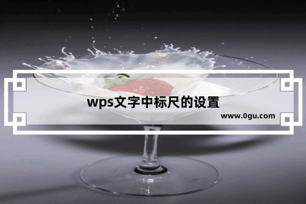 wps文字中标尺的设置