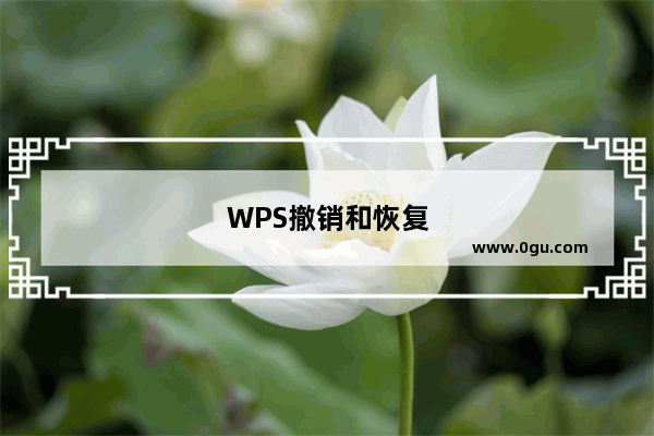 WPS撤销和恢复