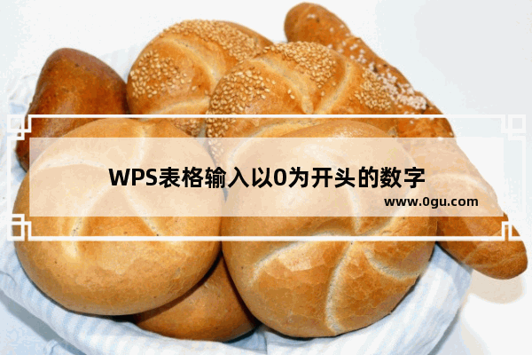 WPS表格输入以0为开头的数字