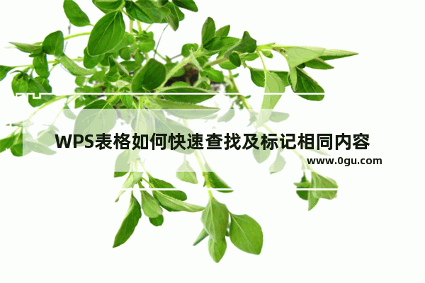 WPS表格如何快速查找及标记相同内容