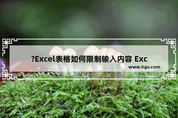 ?Excel表格如何限制输入内容 Excel对输入的内容设置限制条件的方法教程