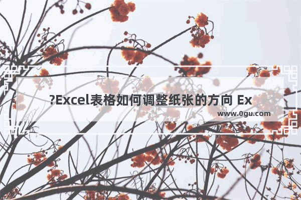 ?Excel表格如何调整纸张的方向 Excel设置纸张方向的方法教程