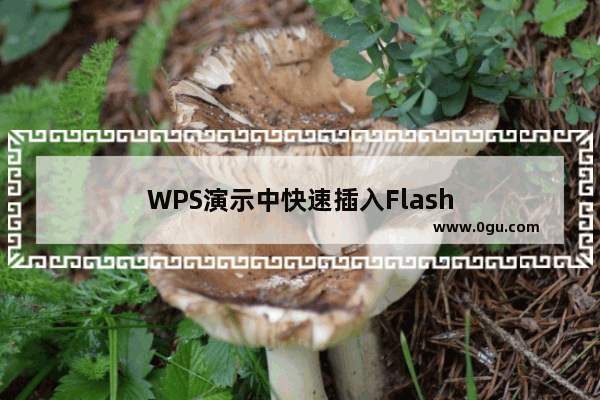 WPS演示中快速插入Flash