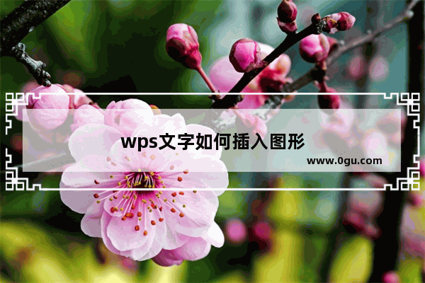 wps文字如何插入图形