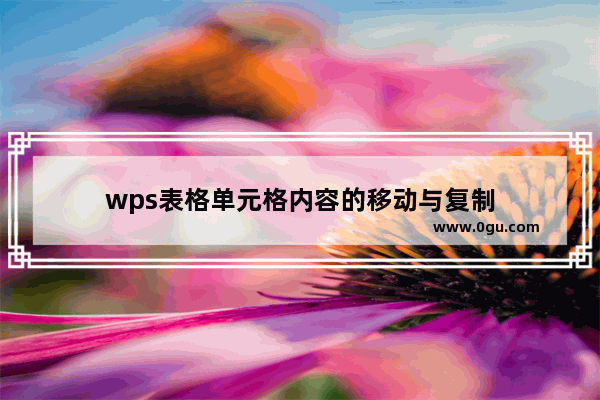 wps表格单元格内容的移动与复制