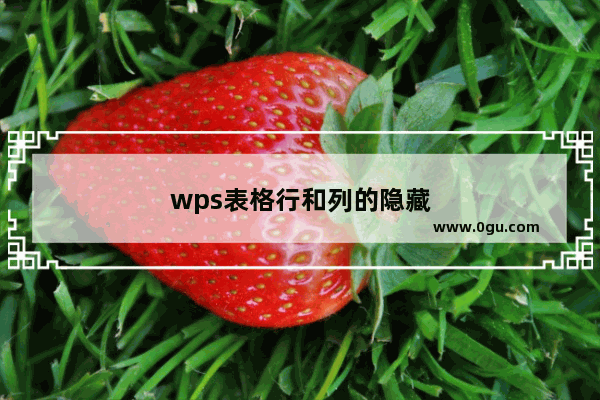 wps表格行和列的隐藏