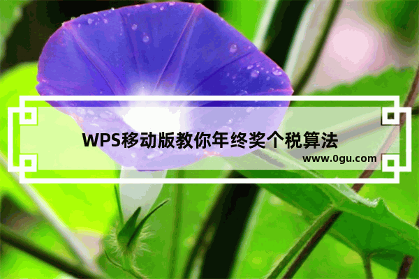 WPS移动版教你年终奖个税算法