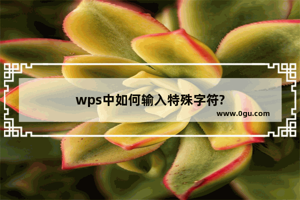 wps中如何输入特殊字符?