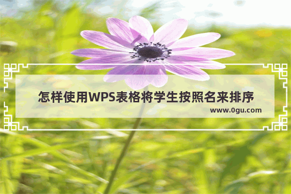 怎样使用WPS表格将学生按照名来排序