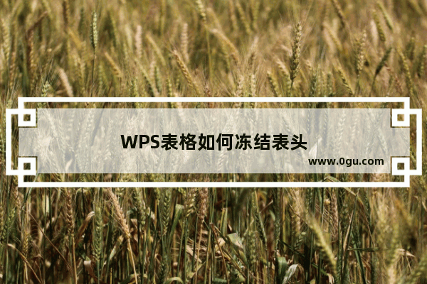 WPS表格如何冻结表头