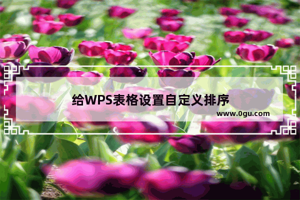 给WPS表格设置自定义排序