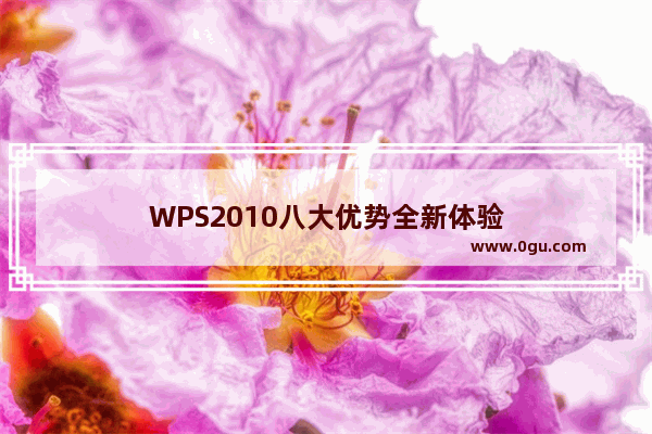 WPS2010八大优势全新体验