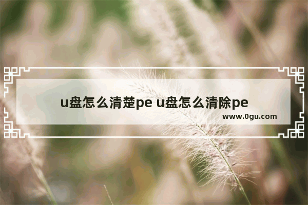 u盘怎么清楚pe u盘怎么清除pe