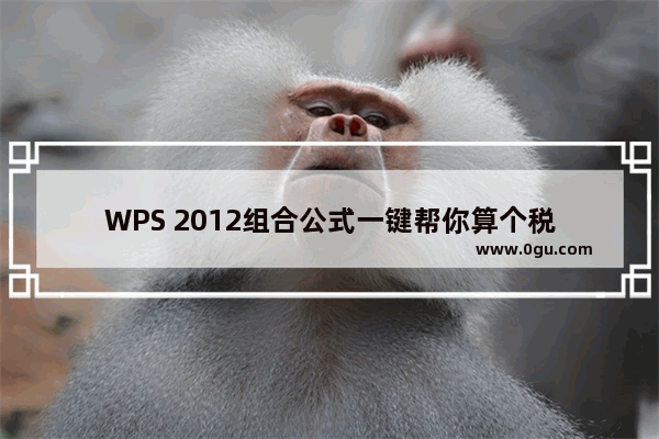 WPS 2012组合公式一键帮你算个税