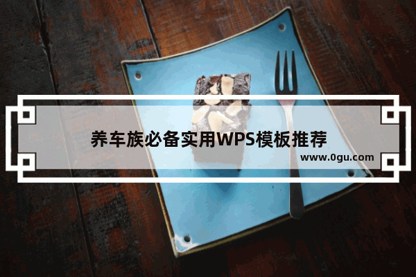 养车族必备实用WPS模板推荐