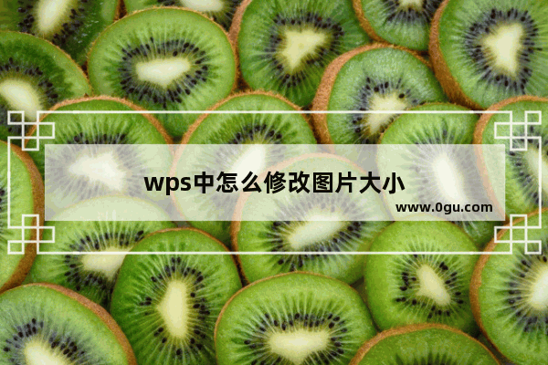 wps中怎么修改图片大小