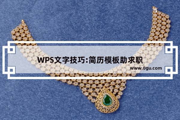 WPS文字技巧:简历模板助求职