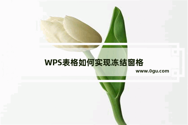 WPS表格如何实现冻结窗格