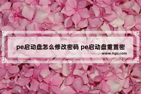 pe启动盘怎么修改密码 pe启动盘重置密码