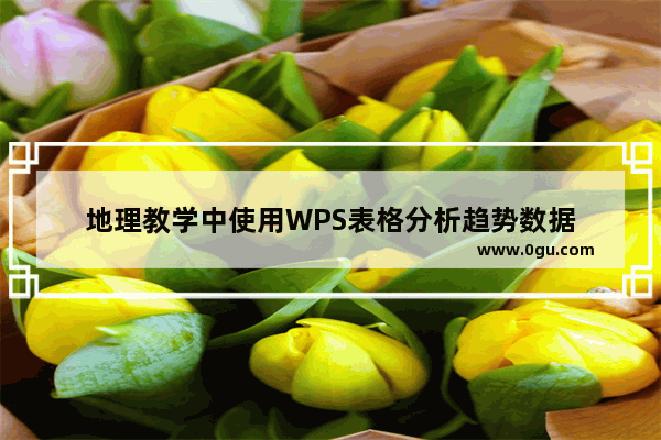 地理教学中使用WPS表格分析趋势数据