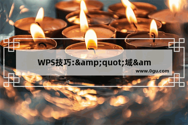 WPS技巧:&quot;域&quot;展风采