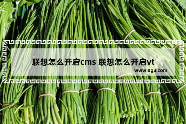 联想怎么开启cms 联想怎么开启vt