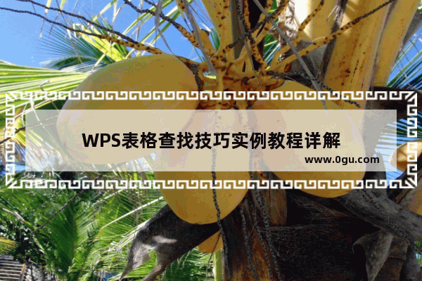 WPS表格查找技巧实例教程详解