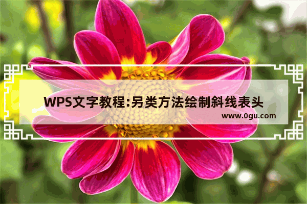 WPS文字教程:另类方法绘制斜线表头