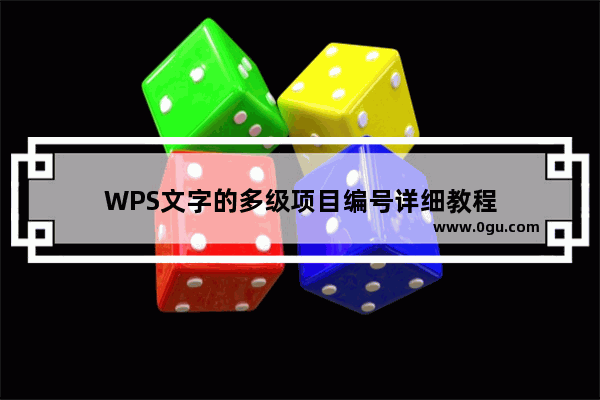 WPS文字的多级项目编号详细教程