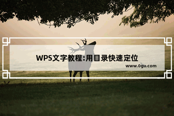 WPS文字教程:用目录快速定位