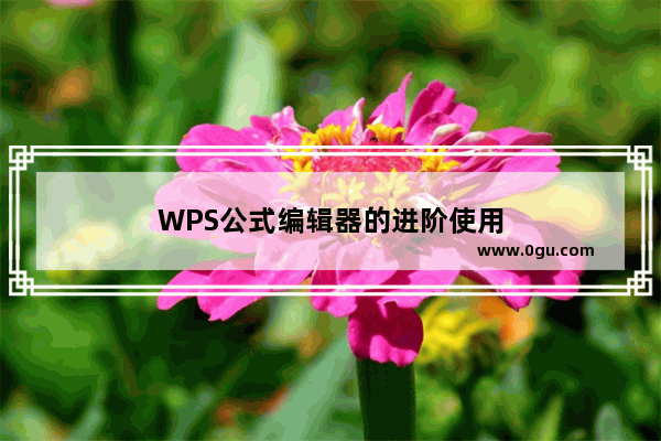 WPS公式编辑器的进阶使用