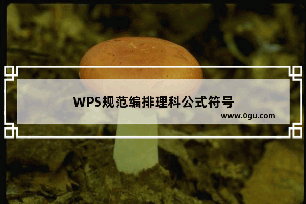 WPS规范编排理科公式符号