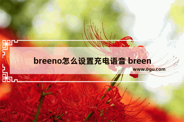 breeno怎么设置充电语音 breeno充电提示音怎么设置