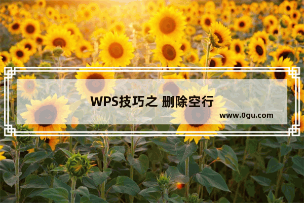 WPS技巧之 删除空行