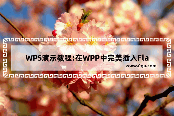 WPS演示教程:在WPP中完美插入Flash