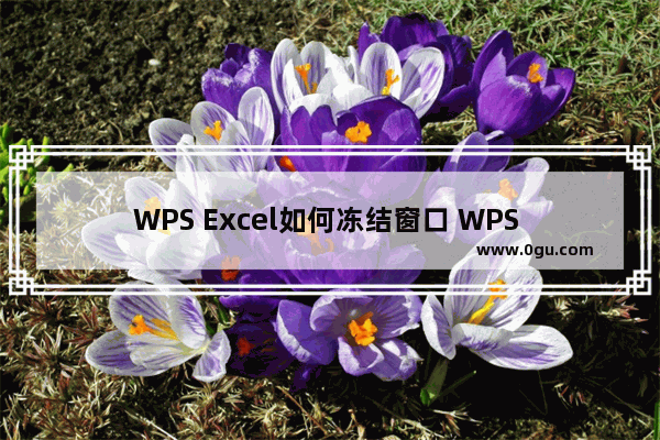 WPS Excel如何冻结窗口 WPS Excel冻结窗口的方法