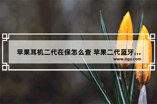 苹果耳机二代在保怎么查 苹果二代蓝牙耳机怎么查保修