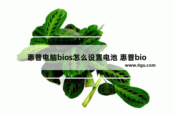 惠普电脑bios怎么设置电池 惠普bios怎么设置电池保护模式